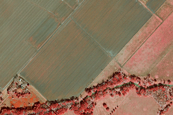 Aerial Ortho-Imagery sample image 2