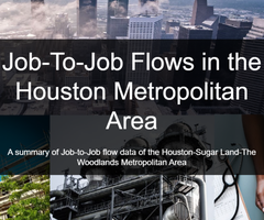 Job-To-Job Flows in the Houston Metropolitan Area