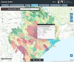 Riparian Buffer Tool