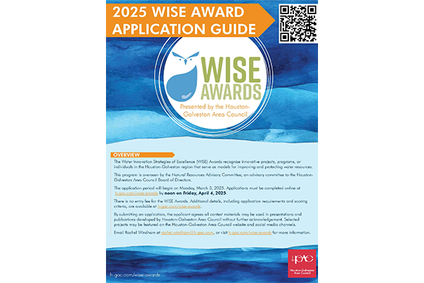 WISE Awards Application Logo