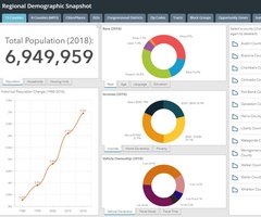 Regional Demographic Snapshot