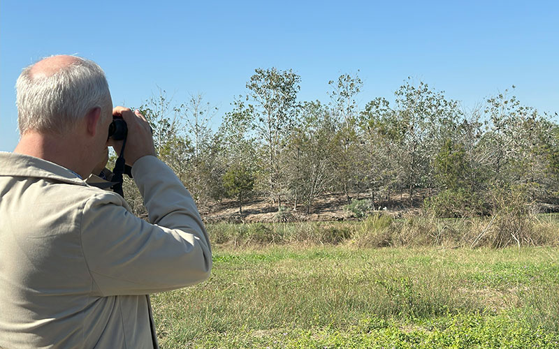 Man with binoculars looks toward a wetland scene