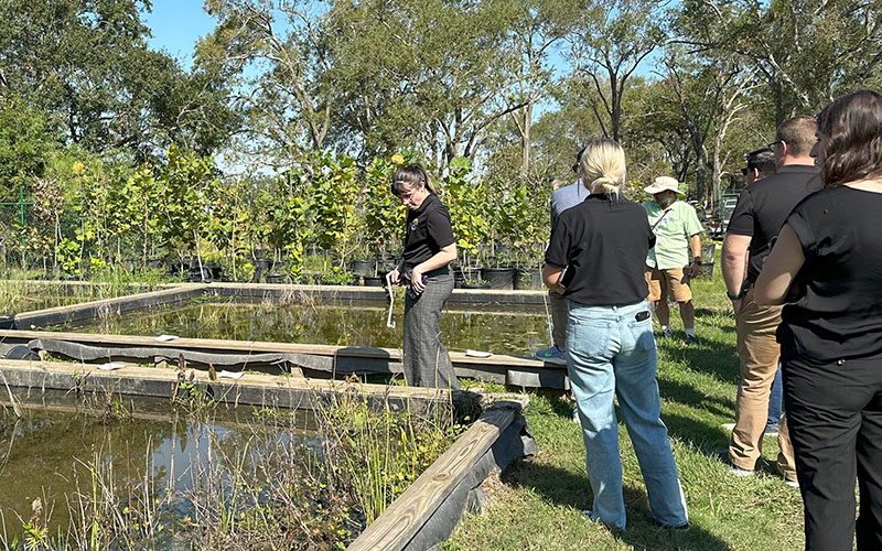 Group of people touring a wetlands tree planting nursery