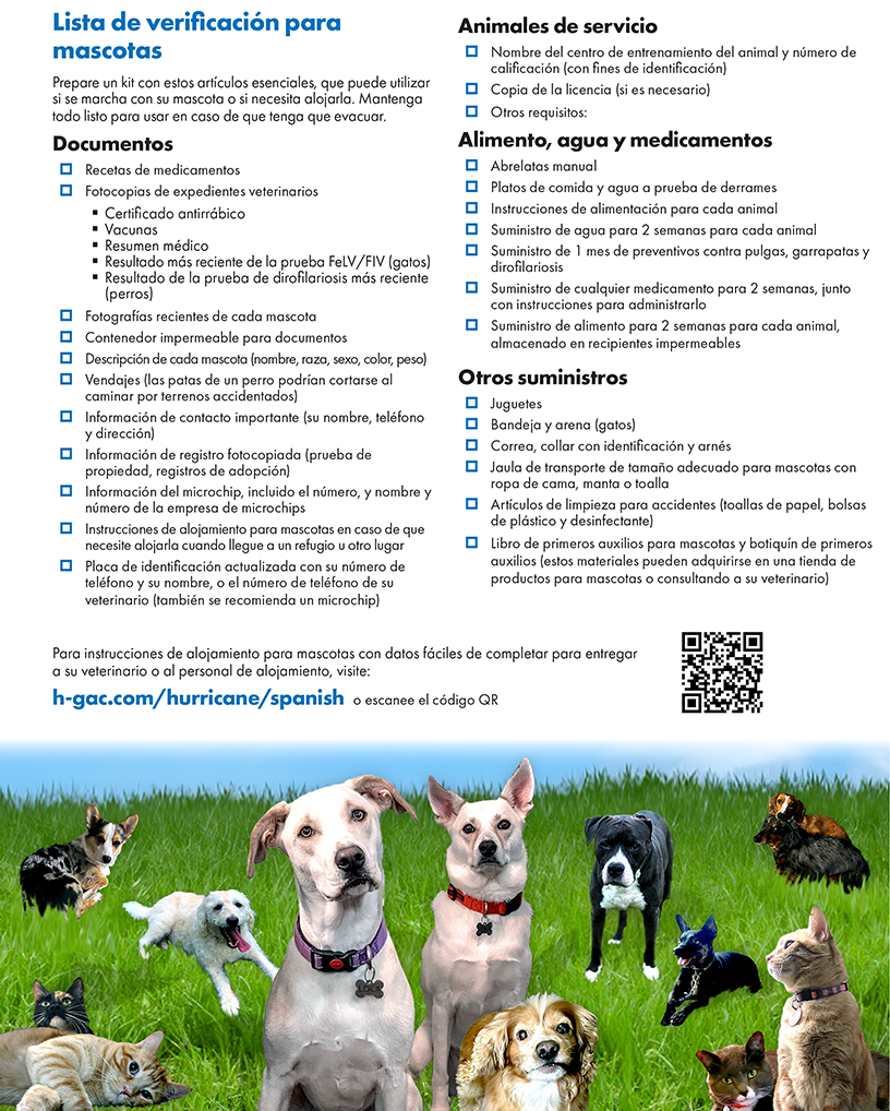 Plan de alojamiento para mascota 2025