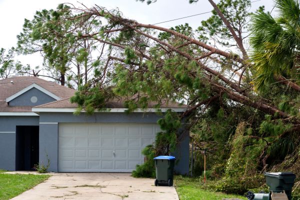 Hurricane Beryl Reminds the Houston-Galveston Region to Stay Ready! 
