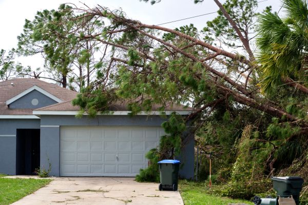 Hurricane Beryl Reminds the Houston-Galveston Region to Stay Ready!
