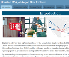 Houston MSA Job-to-Job Flow Explorer